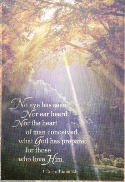 EB5EE24A-A2BB-4331-A374-64B2AEBC6FCD