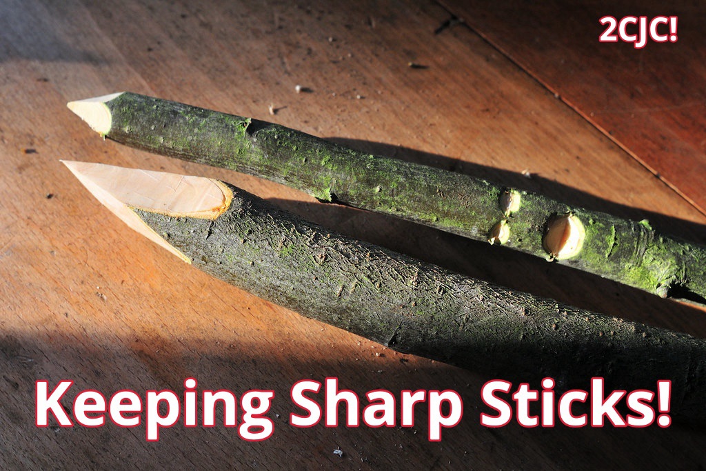Keeping Sharp Sticks! – 2CJC